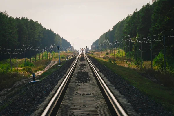 Mistik Tren Orman Boyunca Demiryolu Ile Seyahat Eder Demiryolu Trafik — Stok fotoğraf