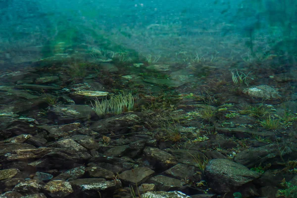 Валуни Рослини Дні Гірського Озера Чистою Водою Крупним Планом Гори — стокове фото