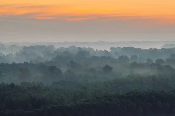 Mystischer Blick Von Oben Auf Wald Dunst Frühen Morgen Nebelschwaden — Stockfoto