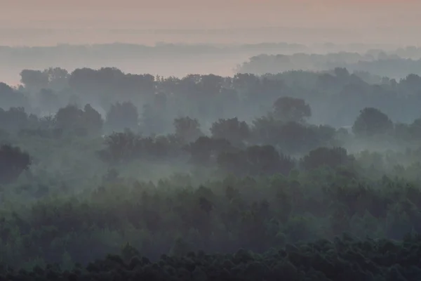 Mystischer Blick Von Oben Auf Wald Dunst Frühen Morgen Nebelschwaden — Stockfoto