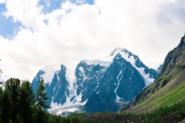 Verbazingwekkende Enorme Gletsjer Achter Conifer Bos Besneeuwde Bergketen Bewolkte Hemel — Stockfoto