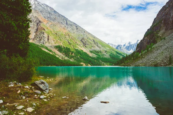 Rich Vegetation Highlands Mountain Lake Wonderful Giant Snowy Mountains Reflected — Stock Photo, Image