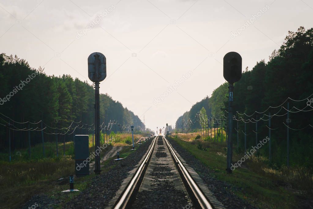 Mystic train travels by rail along forest. Railway traffic light and locomotive on railroad in distance. Mirage on railway track. Atmospheric landscape.