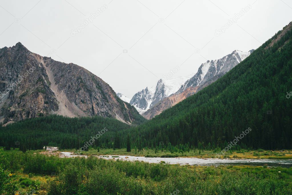 Mountain creek in valley against giant mountains and snowy tops. Water stream in brook against glacier. Rich vegetation and forest of highlands. Amazing atmospheric landscape of majestic nature.