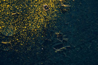 Boya sarı spreyler ile Kaba koyu mavi duvar. Renkli arka plan yakın çekim. Boya sarı noktalar ile beton duvar yüzeyinin koyu mavi doku. Boyalı arka plan. Peelingli boya. Çırpma sıva.