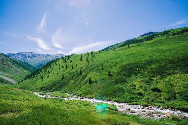 Güneşli bir günde yayla zengin bitki örtüsü arasında yeşil vadide Dağ deresi. Mavi berrak gökyüzü altında buzulhızlı su akışı. Tepenin arkasında dev karlı dağlar. Görkemli doğanın canlı manzarası.