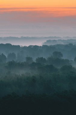 Sabahın erken saatlerinde sis altında ormanın tepesinden mistik bir manzara. Sıcak şafak öncesi gökyüzü altında taiga ağaç siluetleri katmanları arasında Sis. Görkemli doğanın sabah atmosferik minimalist manzara.