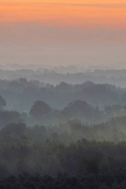 Sabahın erken saatlerinde sis altında ormanın tepesinden mistik bir manzara. Şafak öncesi gökyüzünün altında taiga ağaç siluetleri katmanları arasında Sis. Görkemli doğanın sakin sabah atmosferik minimalist manzara.
