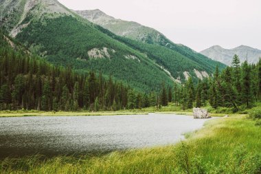Harika dev dağlara karşı zengin bitki örtüsü arasında parlak yüzeyi ile küçük dağ gölünde büyük taş. Suda kaya. Yaylaların görkemli doğasının muhteşem atmosferik manzarası.