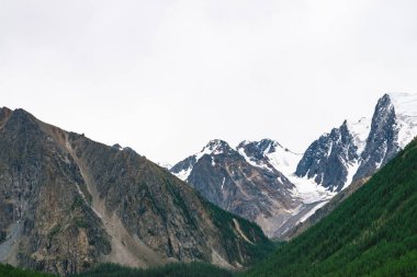 Bulutlu gökyüzü altında orman ile tepenin arkasında karlı dağ üst. Bulutlu havalarda kayalık sırt. Buzulda beyaz kar. Görkemli doğanın atmosferik manzarası.