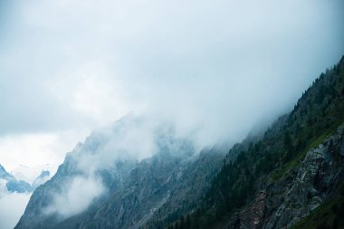 Kalın sis içinde ağaçlar ile hayalet dev kayalar. Sisin içinde gizemli büyük dağ. Sabah ın erken saatlerinde dağlarda. Aşılmaz sis. Karanlık atmosferik ürkütücü manzara. Vahşi doğa sakin mistik atmosfer.