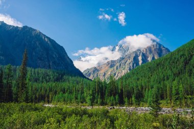 Orman kenarı boyunca akarsu. Kozalaklı ormanı olan tepelerin arkasında kar olan kayalık sırt. Mavi gökyüzünün altındaki büyük karlı sıradağların tepesindeki bulutlar. Dev kaya. Yayla doğasının atmosferik manzarası.