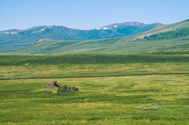 Berrak mavi gökyüzü altında kar ile dev dağlara karşı yeşil vadide Kaya. Güneş ışığında yaylaların zengin bitki örtüsü ile Çayır. Görkemli doğanın inanılmaz güneşli dağ manzara.