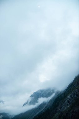 Kalın sis içinde ağaçlar ile hayalet dev kayalar. Sis içinde kar ile gizemli büyük dağ. Sabah ın erken saatlerinde dağlarda. Aşılmaz sis. Karanlık atmosferik bulutlu manzara. Sakin mistik atmosfer.