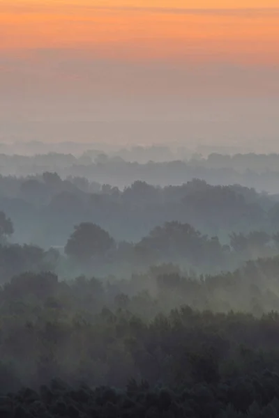 Vista Mística Desde Alto Del Bosque Bajo Neblina Primera Hora — Foto de Stock