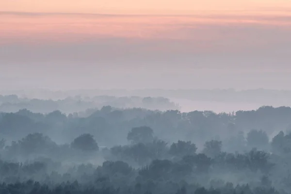 Rejtélyes Kilátás Erdőre Ködben Kora Reggel Hátborzongató Köd Között Rétegek — Stock Fotó