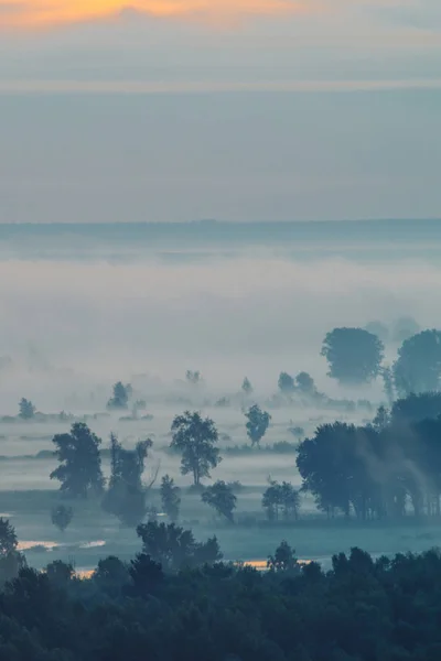 Vedere Mistică Asupra Pădurii Sub Ceață Dimineața Devreme Mist Printre — Fotografie, imagine de stoc