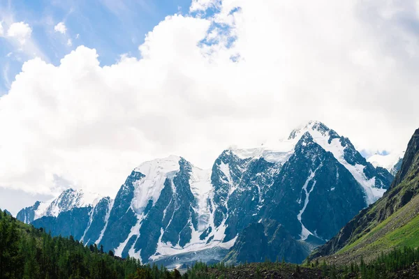 Erstaunliche Riesige Gletscher Hinter Nadelwald Schneebedeckte Gebirgsketten Bewölkten Himmel Wunderschöner — Stockfoto