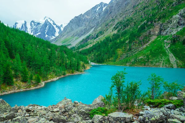 Arbusto Verde Colina Pedregosa Fundo Geleira Lago Montanha Floresta Coníferas — Fotografia de Stock