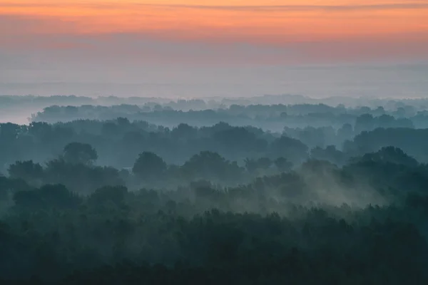 Mystischer Blick Von Oben Auf Wald Dunst Frühen Morgen Nebelschwaden — Stockfoto