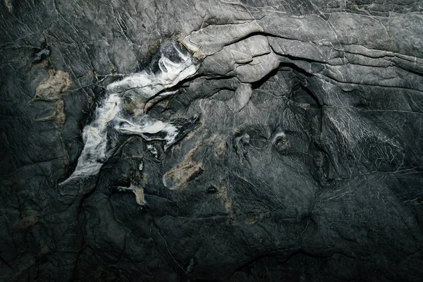 Hermosa Cueva Vista Desde Interior Oscuro Calabozo Paredes Texturizadas Cueva — Foto de Stock