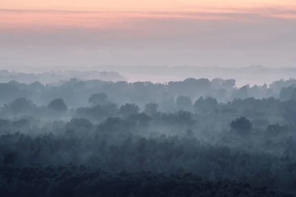 Містичний Вид Ліс Під Вогнем Рано Вранці Жахливий Туман Серед — стокове фото