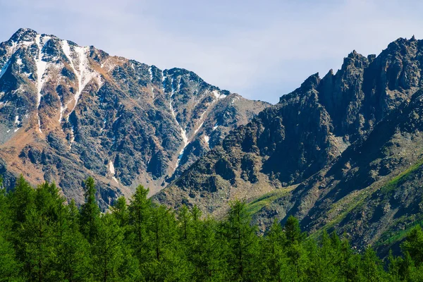 Snowy mountain top behind wooded hill under blue clear sky. Rocky ridge above coniferous forest. Atmospheric minimalistic landscape of majestic nature.