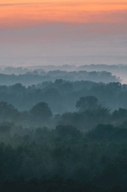 Sabahın erken saatlerinde sis altında ormanın tepesinden mistik bir manzara. Sıcak şafak öncesi gökyüzü altında taiga ağaç siluetleri katmanları arasında Sis. Görkemli doğanın sabah atmosferik minimalist manzara.