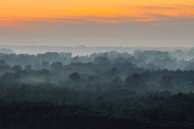 Sabahın erken saatlerinde sis altında ormanın tepesinden mistik bir manzara. Sıcak şafak öncesi gökyüzü altında taiga ağaç siluetleri katmanları arasında Sis. Görkemli doğanın sabah atmosferik minimalist manzara.