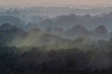 Sabahın erken saatlerinde sis altında ormanın tepesinden mistik bir manzara. Sıcak şafak öncesi gökyüzü altında taiga ağaç siluetleri katmanları arasında Sis. Görkemli doğanın sabah atmosferik minimalist manzara.