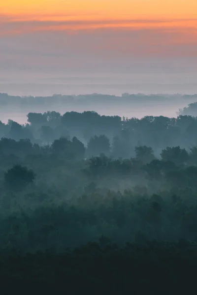 Vista Mística Cima Floresta Sob Neblina Início Manhã Névoa Entre — Fotografia de Stock