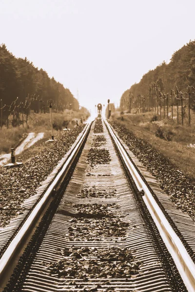 Mistik Tren Sepya Tonları Orman Boyunca Demiryolu Ile Seyahat Eder — Stok fotoğraf