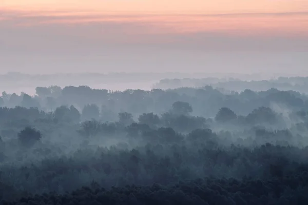 Mystischer Blick Auf Den Wald Dunst Frühen Morgen Unheimlicher Nebel — Stockfoto