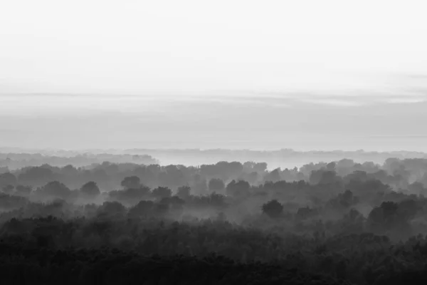 Vista Mística Sobre Floresta Sob Neblina Início Manhã Névoa Misteriosa — Fotografia de Stock