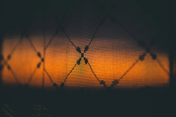 Amazing romantic vivid sunset in window behind silhouettes of tulle texture. Wonderful warm orange dawn sky from window through patterned curtain. Cosiness background of scenic sunrise. Copy space.