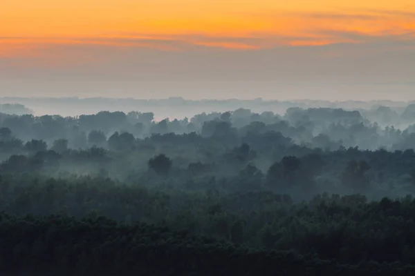 Mystieke Uitzicht Vanaf Top Bos Onder Haze Vroege Ochtend Nevel — Stockfoto