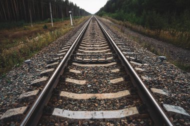 Demiryolu orman boyunca perspektif seyahat. Demiryolu nda yolculuk. Raylar boyunca telleri olan direkler. Kopya alanı ile çalılar ve ağaçlar boyunca demiryolu ile atmosferik manzara.