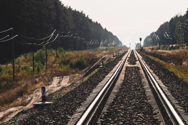 Demiryolu Orman Boyunca Perspektif Seyahat Demiryolu Nda Yolculuk Güneş Işığında — Stok fotoğraf