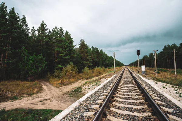 Järnvägen Färdas Perspektiv Över Skogen Resa Järnvägsspåret Stolpar Med Ledningar — Stockfoto