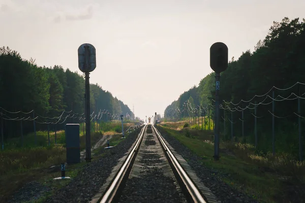 Mistik tren orman boyunca demiryolu ile seyahat eder. Demiryolu trafik ışığı ve lokomotif uzakta demiryolu üzerinde. Demiryolu nda Serap. Atmosferik manzara.