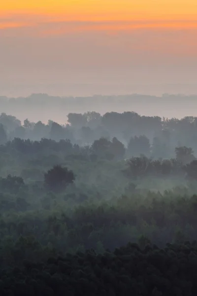 Vista Mística Cima Floresta Sob Neblina Início Manhã — Fotografia de Stock
