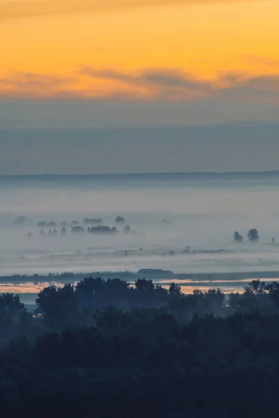 Vista Mística Del Bosque Bajo Neblina Primera Hora Mañana —  Fotos de Stock