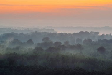 Sabahın erken saatlerinde sis altında ormanın tepesinden mistik bir manzara. Sıcak şafak öncesi gökyüzü altında taiga ağaç siluetleri katmanları arasında Sis. Görkemli doğanın sabah atmosferik minimalist manzara.
