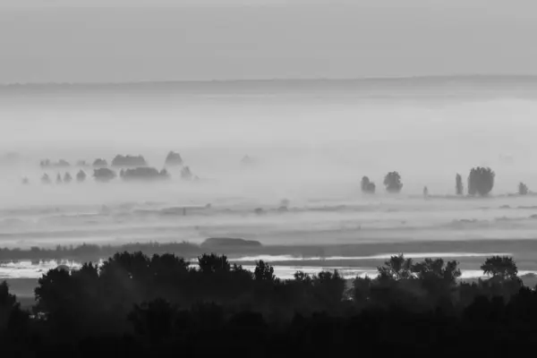 Vista Mística Sobre Floresta Sob Neblina Início Manhã Escala Cinza — Fotografia de Stock