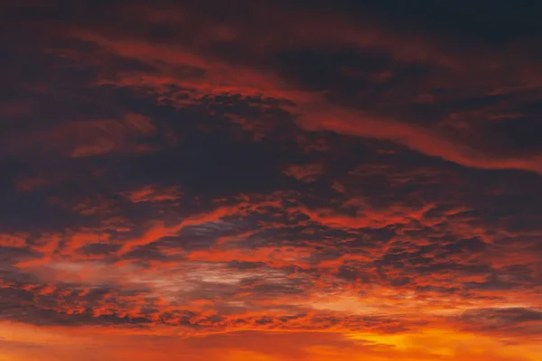 Vampire Rouge Ardent Aube Incroyable Chaud Feu Dramatique Ciel Nuageux — Photo