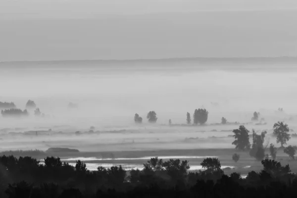 Монохромное Спокойное Утро Минималистский Пейзаж Величественной Природы — стоковое фото