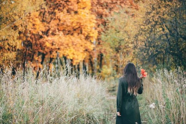 낙엽이 떨어지는 소녀들 — 스톡 사진