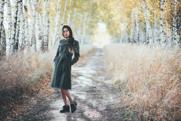 秋の黄色の葉のボケの背景に長い天然黒髪の悲しい美しい女の子 秋の森の中の落ち込んでいる女の子 秋の無気力だ女性の感情的な悲観的な肖像画の完全な成長 フェードトーン — ストック写真