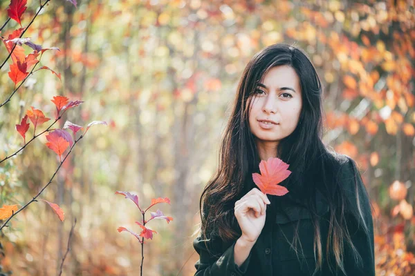 암컷의 아름다운 초상화가 나뭇잎으로 둘러싸여 있습니다 아름다운 소녀가 가을에는 머리를 — 스톡 사진