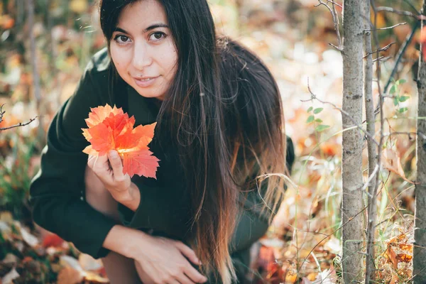 암컷의 아름다운 초상화가 나뭇잎으로 둘러싸여 있습니다 가을에는 아름답고 아름다운 소녀가 — 스톡 사진